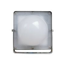 恒盛 平台灯 WF212A 100W 白光 5700K