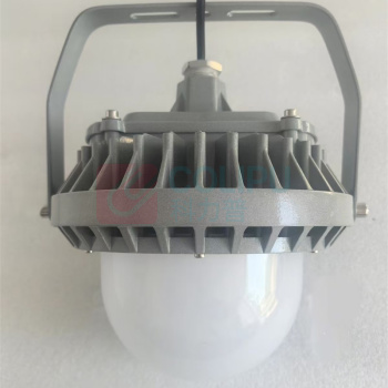 华普 平台灯 HPS2001 100W 220V