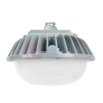 通明 TORMIN LED照明灯 ZY8601P-L60 60W IP66 AC90~264V 5000K LED光源 (灰色)