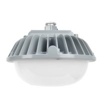 通明 TORMIN LED照明灯 ZY8601P-L60 60W IP66 AC90~264V 5000K LED光源 (灰色)