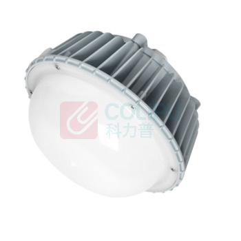 通明 TORMIN LED照明灯 ZY8601P-L60 60W IP66 AC90~264V 5000K LED光源 (灰色)