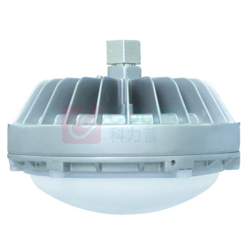 WAROM 华荣 防爆平台灯 RLEEXL608-XL100 (白光) 壁装100W5000K