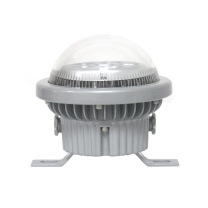 大地 固定式LED灯具 NFC9280-B 15W (灰色) (铝合金) IP65