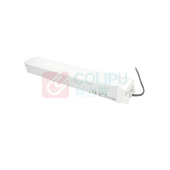 惠乐为 LED壁顶灯 AL8025-30 165-265V 30W IP65 (银色)