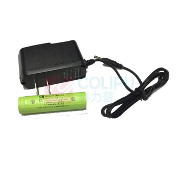 大地之光 巡检灯 DDZG-BN002 LED多功能强光 变压器绕组温控器