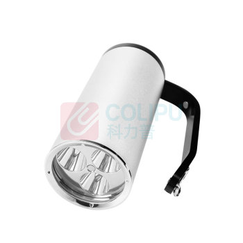深照紫光 消防员照明灯具 FD-FBSI350/A /