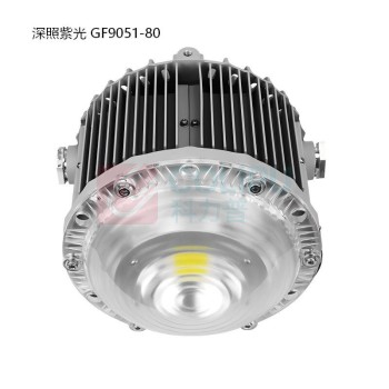 深照紫光 三防耐辐照壁灯 GF9051-80