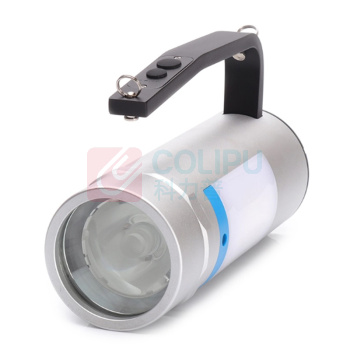 简鼎 JIANDING 手提式探照灯 JD6311D 12W IP67 DC22.2V LED (银色)