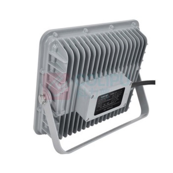 通明电器 LED照明灯 ZY8108-L40