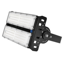 通明 TORMIN LED泛光灯 ZY8102D-L60 60 IP66 AC90~305V 5000K LED光源 (黑色)