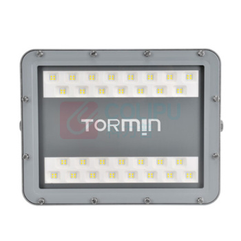 通明 TORMIN LED泛光灯 ZY8108-L60 60W IP66 AC90~264V 5000K LED光源 (灰色)