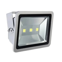 飞利浦 PHILIPS 户外LED投光灯 220V 100W 6500K
