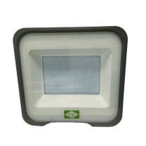 非·芯·赫 LED应急泛光灯 FHGL230C-100 (灰色)