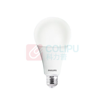 飞利浦 PHILIPS 节能灯泡 电压220V 功率15W E27螺口 色温6500K (白色)