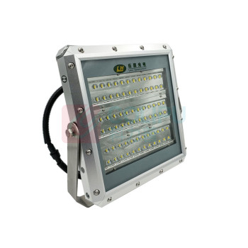 惠乐为 LED投光灯 乐惠OL9019 IP65 (银色)