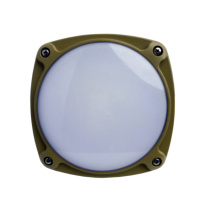 森本照明 投光灯 免维护节能防爆LED灯 FGV1207-LED60 5700K 60W 220V LED 安装式 铝合金