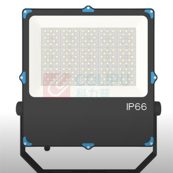 华普 LED投光灯 HPG1010 100W