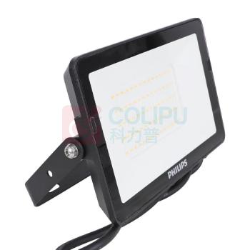 飞利浦 PHILIPS 投光灯 100W白光 (白色)