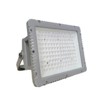 明特佳 MINGTEJIA LED投光灯 ZTD9201B L250*W190*H118 60W AC220V IP66