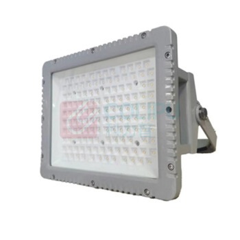 明特佳 MINGTEJIA LED投光灯 ZTD9201B L250*W190*H118 60W AC220V IP66