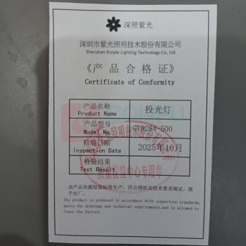 深照紫光 投光灯 GT9284-500