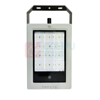 深照紫光 LED摄像泛光灯 GF9021 50W