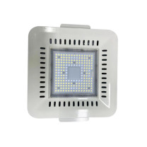 深照紫光 LED泛光灯 GF9033 100W (NEW)