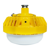 CARY 泛光灯 KLE1012 60W
