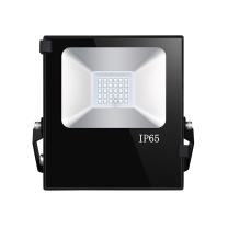 雷发 LED泛光灯 LF-FG-50-01S 50W 白光 IP65