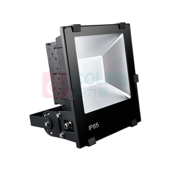 雷发 LED泛光灯 LF-FG-50-01S 50W 白光 IP65