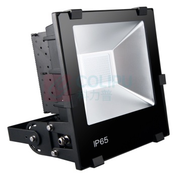 雷发 LED泛光灯 LF-FG-100-01S 100W 白光 IP65