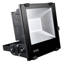 雷发 LED泛光灯 LF-FG-100-01S 100W 白光 IP65