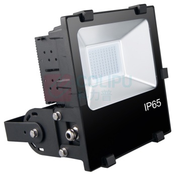 雷发 LED泛光灯 LF-FG-100-01S 100W 白光 IP65