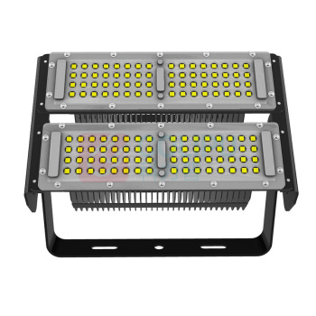 雷发 LED泛光灯 LF-FG-100-02S 100W AC220