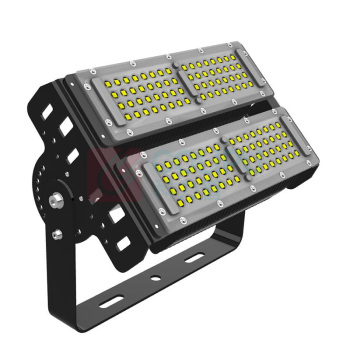雷发 LED泛光灯 LF-FG-100-02S 100W AC220