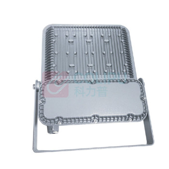 WAROM 华荣 LED投光灯具(智能灯具) RLEFL319-XL200