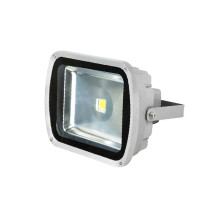 正辉 CHHI LED投光灯 CNT9171 50W (灰色) IP65 AC220V 白光 6000K LED