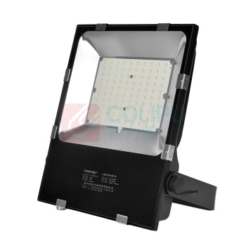 通明电器 泛光灯 ZY8106 200W (黑色)