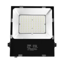 通明电器 泛光灯 ZY8106-L100 100W (黑色)