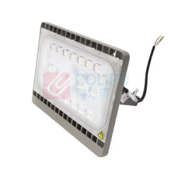 飞利浦 PHILIPS LED投光灯 BVP161 220V 30W 4000K (本色)