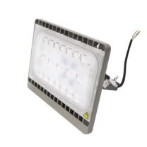 飞利浦 PHILIPS LED投光灯 BVP161 220V 30W 4000K (本色)