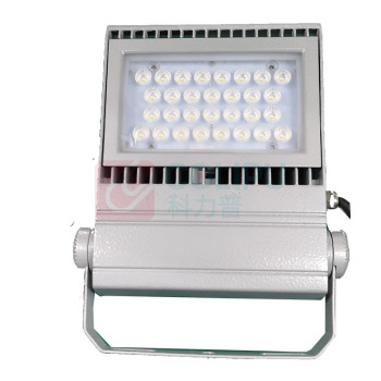 大地之光 LED泛光灯 DDZG-AN211-30B 30W