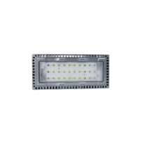 CXS 旭升 LED投光灯 CGZF0106L 100W (白色) IP65 AC220V 白光 色温5000K