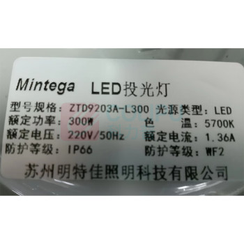 明特佳 MINGTEJIA LED投光灯 MTJ-ZTD9203A 300W (灰色) IP66 AC220V 5700K