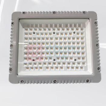 明特佳 MINGTEJIA LED投光灯 MTJ-ZTD9203 100W (灰色) IP66 AC220V 5700K