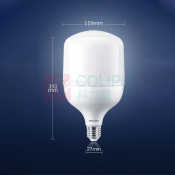 飞利浦(PHILIPS) 中低天棚灯灯泡 40W E27 暖白光4000K 230VAC E27螺口 40W