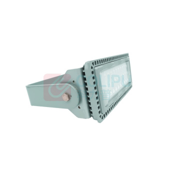 维莱奥斯 LED投光灯 TGD1001 110W 2700-7000K IP65 WF2 220V LED (银色)