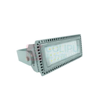 维莱奥斯 LED投光灯 TGD1001 110W 2700-7000K IP65 WF2 220V LED (银色)