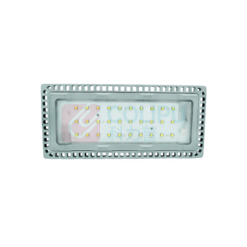 维莱奥斯 LED投光灯 TGD1001 110W 2700-7000K IP65 WF2 220V LED (银色)