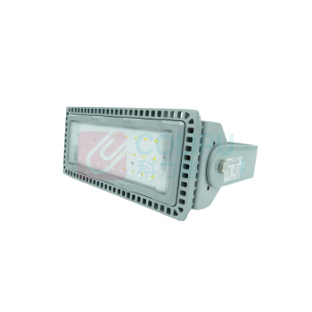 维莱奥斯 LED投光灯 TGD1001 110W 2700-7000K IP65 WF2 220V LED (银色)